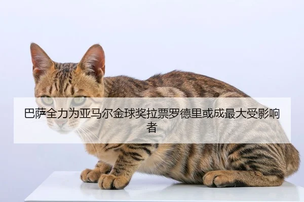 巴萨全力为亚马尔金球奖拉票罗德里或成最大受影响者